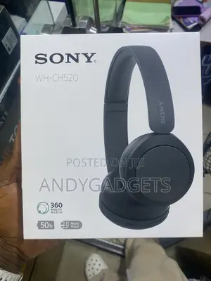 Sony Wh-Ch520 Headset