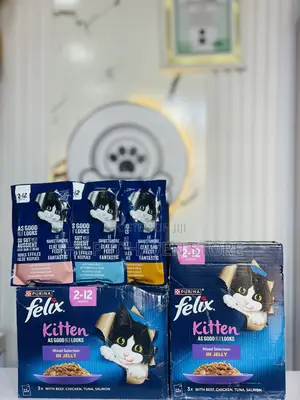 Cat Snacks
