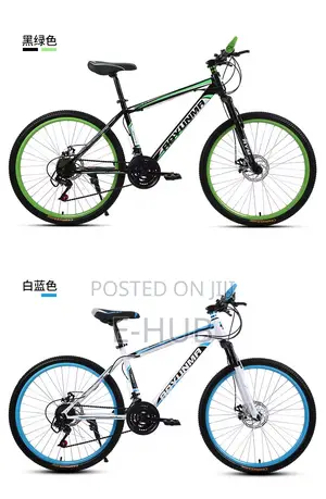 Adult Bicycle