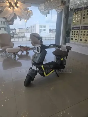 New Motorcycle 2025 Gray