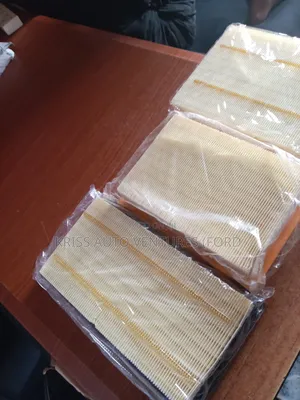 Air Filter Ford Edge and Explorer