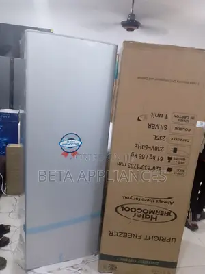 Energy-Efficient Haier Thermocool Upright Freezer