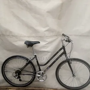 Speed Lady's Bicycle (Brand New)