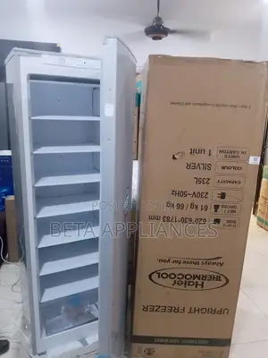 Haier Thermocool Upright Freezer With Easy Access Storage