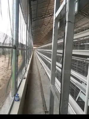J J Poultry Pen Battery Cage Installation
