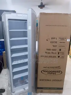 Upright Freezer With Energy Efficiency by Haier Thermocool