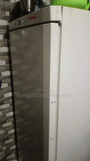 Standing Freezer.