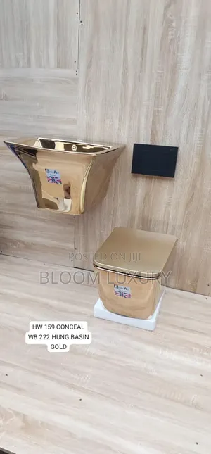 Gold Conceal With Wall Hung Basin