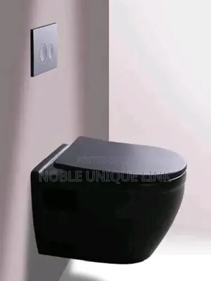 Black Wall Hung Concealed Water Closet
