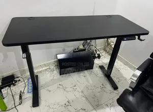 Modern Electric Adjustable Desk.