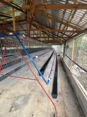 Battery Cage