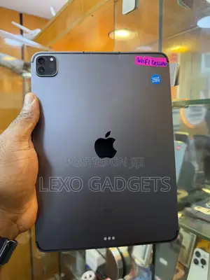 Apple iPad Pro 11 (2021) 256 GB Gray