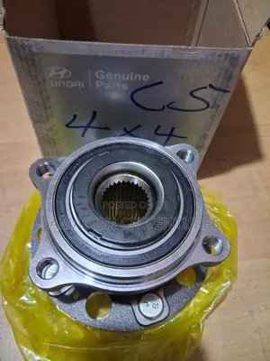 Back Wheel Hub Hyundai Santafe 2016