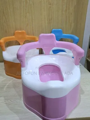 Potty Seat