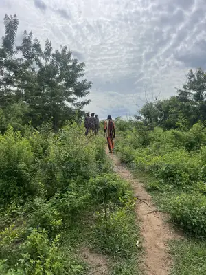 5000 Acres of Land for Sale at Alamala Abeokuta Comes With C of O