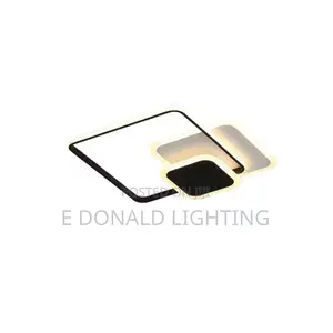 Luxury Ceiling Fittings