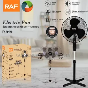 Raf Electric Fan - R.919
