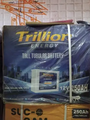 Trillionenergy 250ah Tubular Battery Reliable Power for Home Business