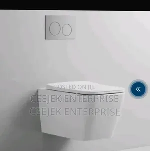 Luxury White Conseal Water Closet