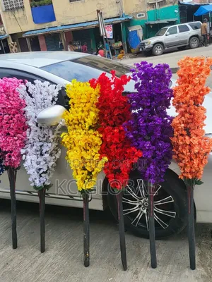 Flower Plant