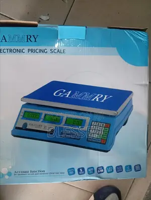 Electronic Pricing Scale 40kg