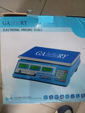 Electronic Pricing Scale 40kg