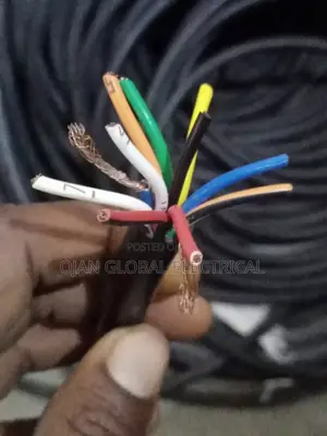 1mm X 12core Polycab Muilt Colour