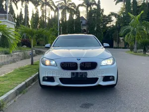 BMW 528i 2013 White