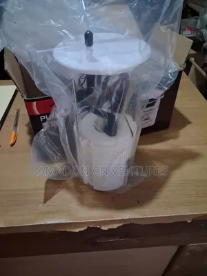 Complete Fuel Pump Hyundai Santafe 2011/2019