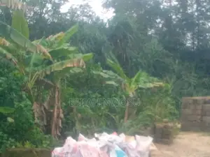 Distress Sale: Land for Sale at Jeddo, Warri (100 X 50)