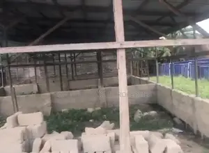 Dry Table Land of 100 by 100 Fenced and Gated for Sale in Nigercat