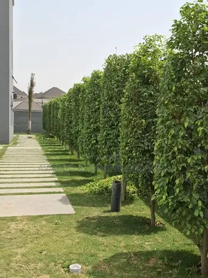 Garden Beautification And Landscape Construction