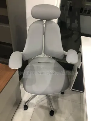Super Executive Office Chair With One Year Warranty