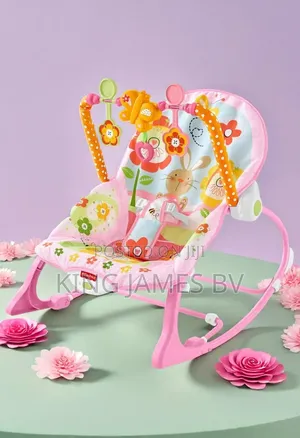 Infant to Toddler Rocker