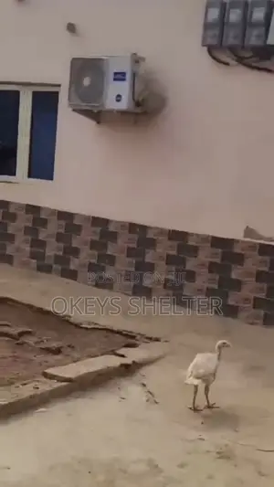 3bdrm Bungalow in Akesan for sale