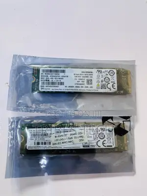 256 M2 Internal Solid State Storage
