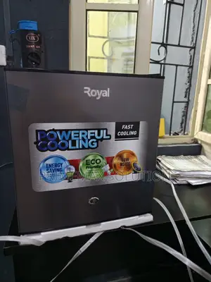 Luxury Redefined: 55l Royal Bedside Fridge
