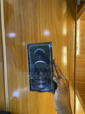 New Apple iPhone 12 Pro Max 256 GB Silver