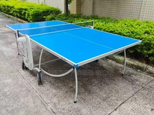 Outdoor Table Tennis Board