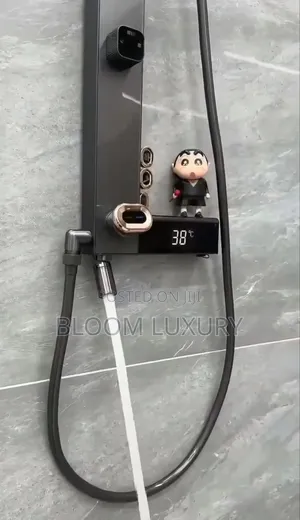 Thermostatic Digital Standing Shower