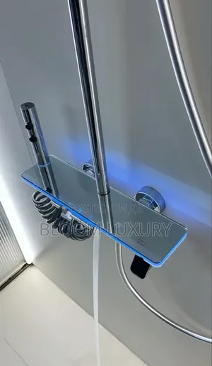 Thermostatic Luxury Standing Shower