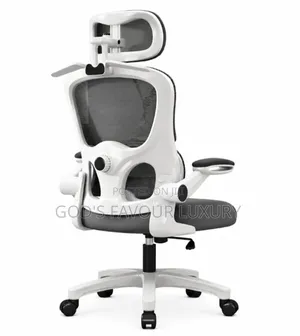Home/Office Ergonomic Mesh Chair