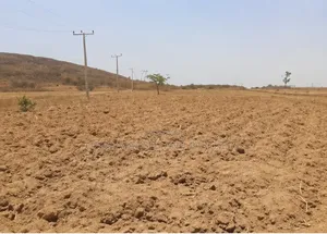 100 Hectares