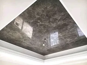 A Professional Painter