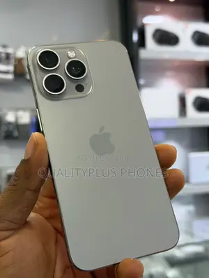 Apple iPhone 15 Pro Max 256 GB Silver