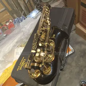 Professional Alto Saxophone
