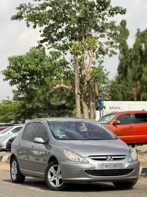 Peugeot 307 2009 Gray
