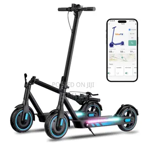 Maxi Electric Scooter