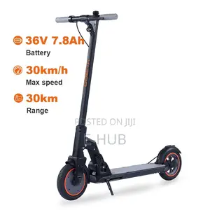 Adult Electric Scooter