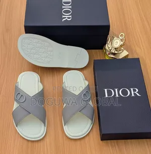 Original Dior Shoe